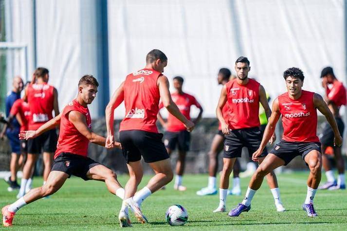 波仔很忙29关攻略视频 波仔很忙29关攻略视频