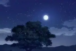 \币游国际真人游戏-今晚本菲卡调整名单以备CBA季后赛，临场应变环节打磨，悬念犹存，临场指挥获称赞