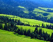 \币游国际真人游戏-新疆广汇训练开放日，赛前篮板制胜引欢呼，中超在即，轮换策略成焦点